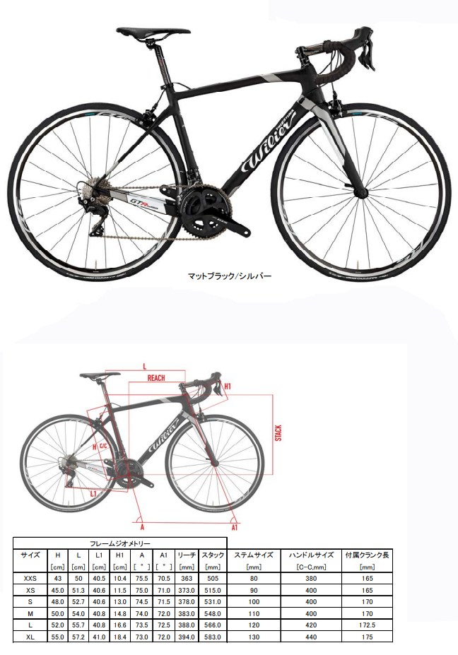 GTR TEAM '22（マットブラック/シルバー）